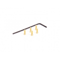 HIROSEIKO M2x5 (Gold) Cap Screw Set